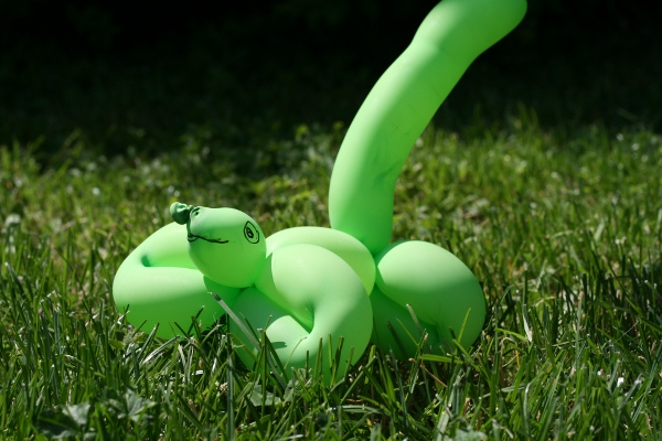 Balloon Geeko